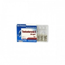 Testosterona E - 250mg/ml Balkan Pharmaceuticals